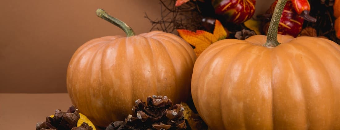 How to Host Thanksgiving on a Budget 