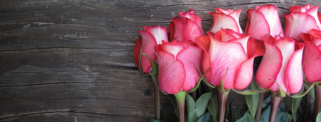 Cheap Flower Delivery Under $20