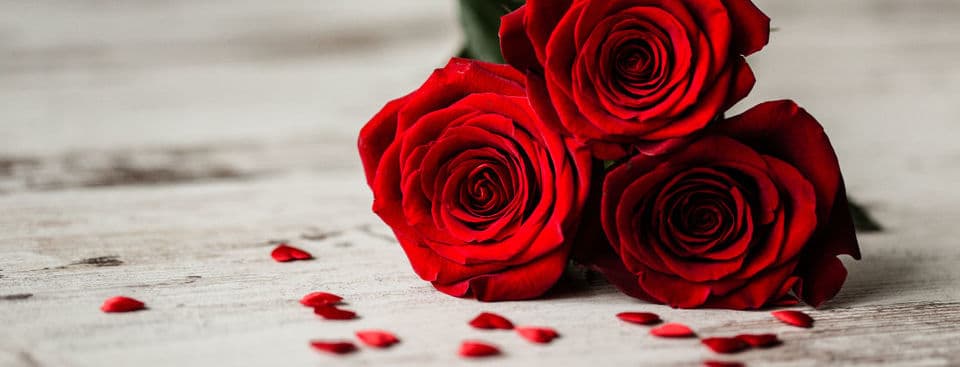 Valentine's Day Gift Guide 2017
