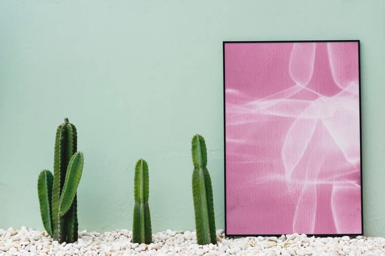 Turn Your Drab Apartment into a Boho Paradise 