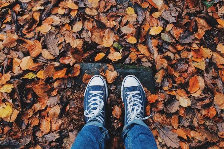 10 Unique Places to Travel this Fall & How To Save Along the Way