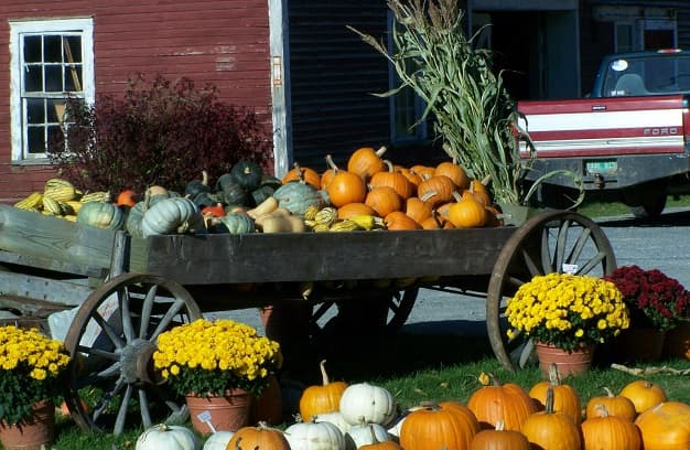8 Best Things to Buy in October