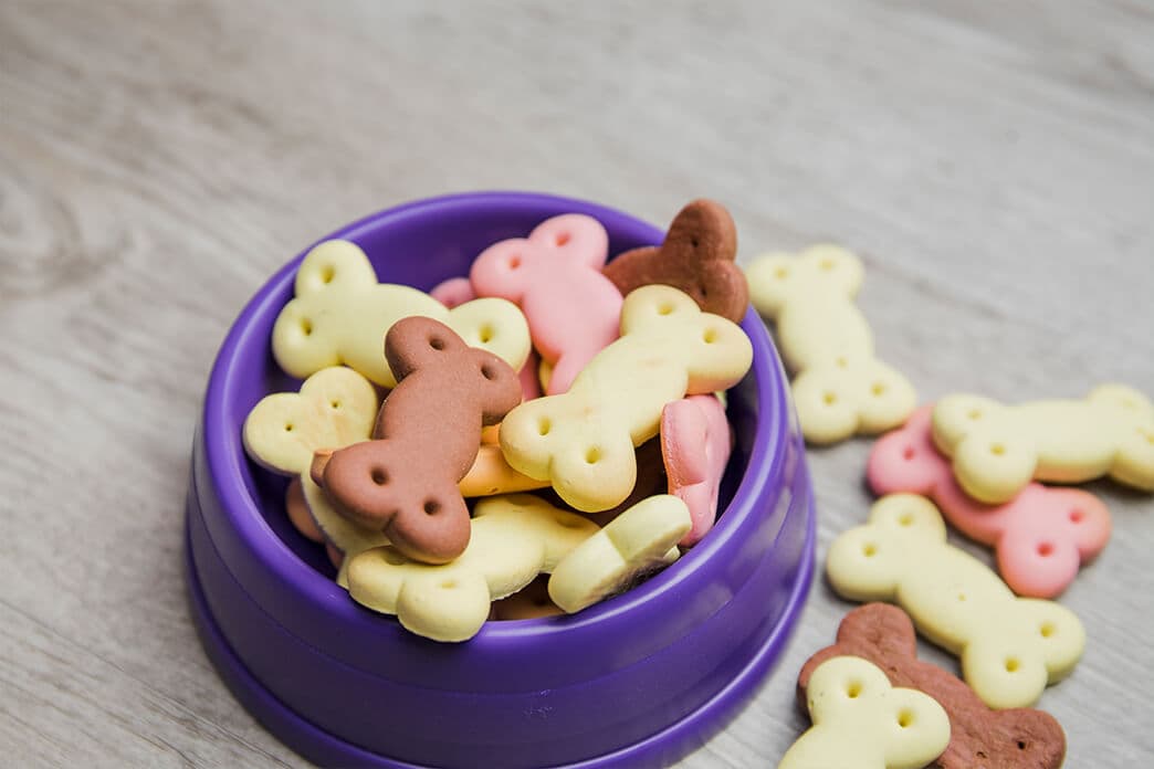 Pet Food