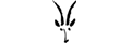 Ibex + coupons