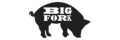 Big Fork Brands + coupons
