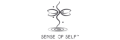 Sense of Self Logo