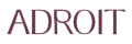 Adroit Jewelry + coupons
