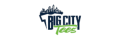 Big City Sportswear Logo