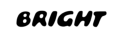 Bright Swimwear Logo