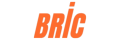 BRIC Logo