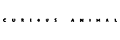 Curious Animal Promo Codes