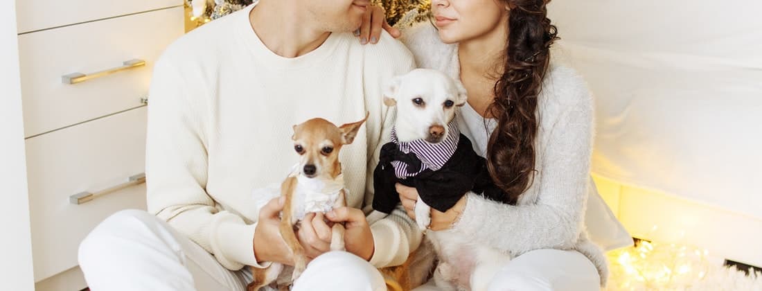 Find The Perfect Present For Your Pup With Petco This Holiday Season