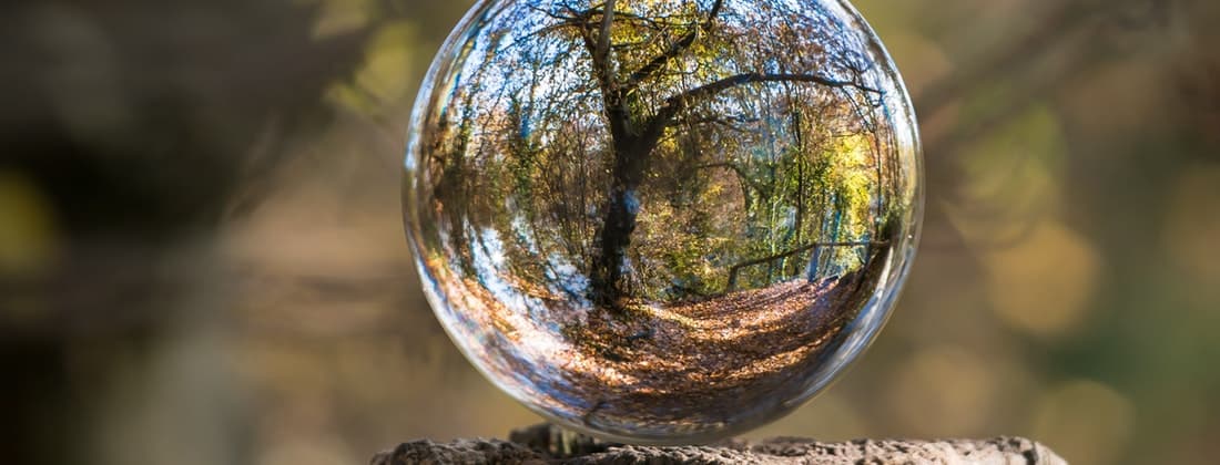 Affordable Ways You Can Help the Environment