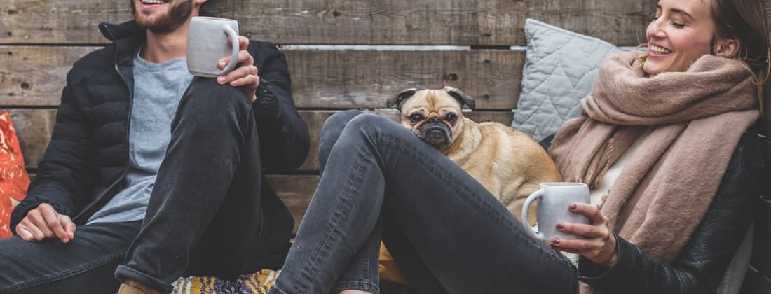 5 Questions to Ask Yourself Before Getting a New Pet