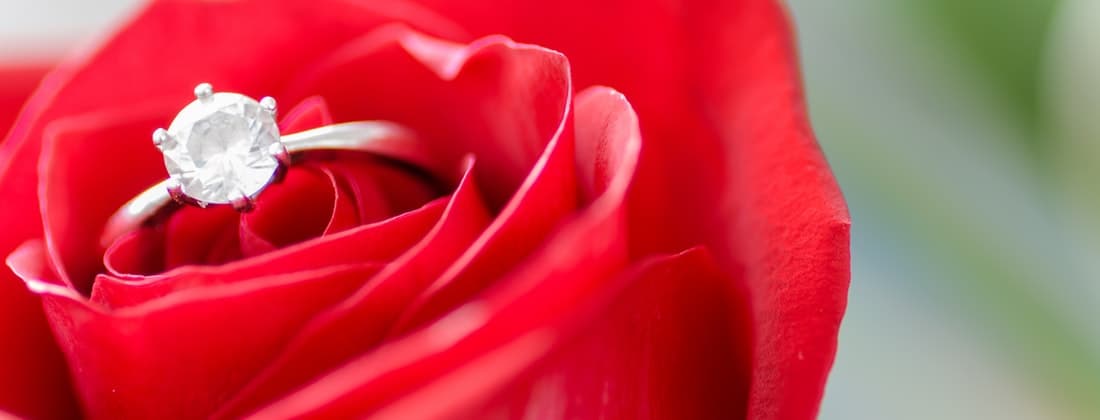 Arie Ready For Romance? Ways To Save For Your Bachelor Finale Viewing Party