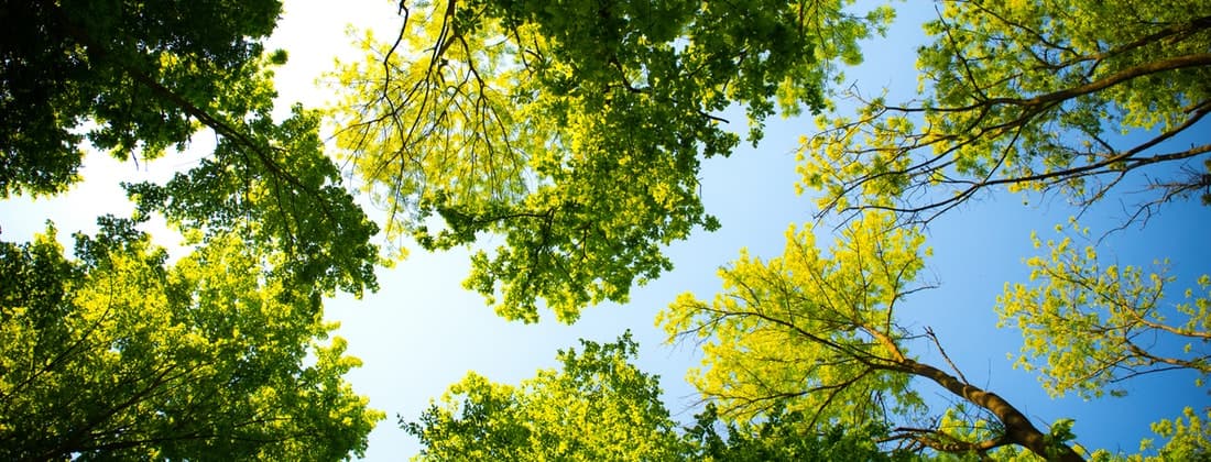 How You Can Save More than Just Money This Earth Day