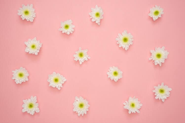 Which Flowers and Bouquets to Buy Based on Your Zodiac Sign