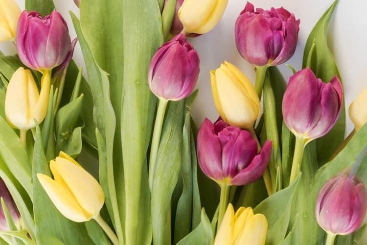 How to make your Mom proud this Mother’s Day!