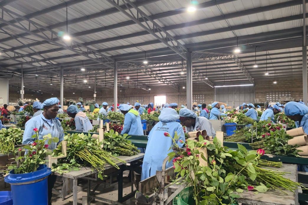 Wholesale Flowers