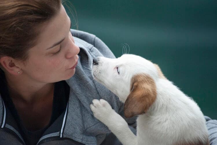 7 Ways to Spoil Your Mutt for National Mutt Day